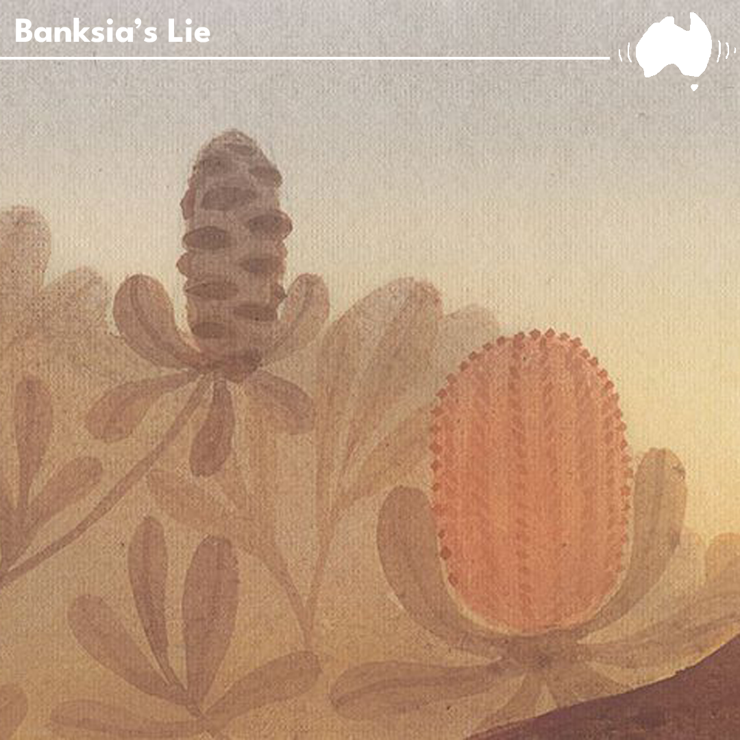 #625 Banksias, Lies, and Baby